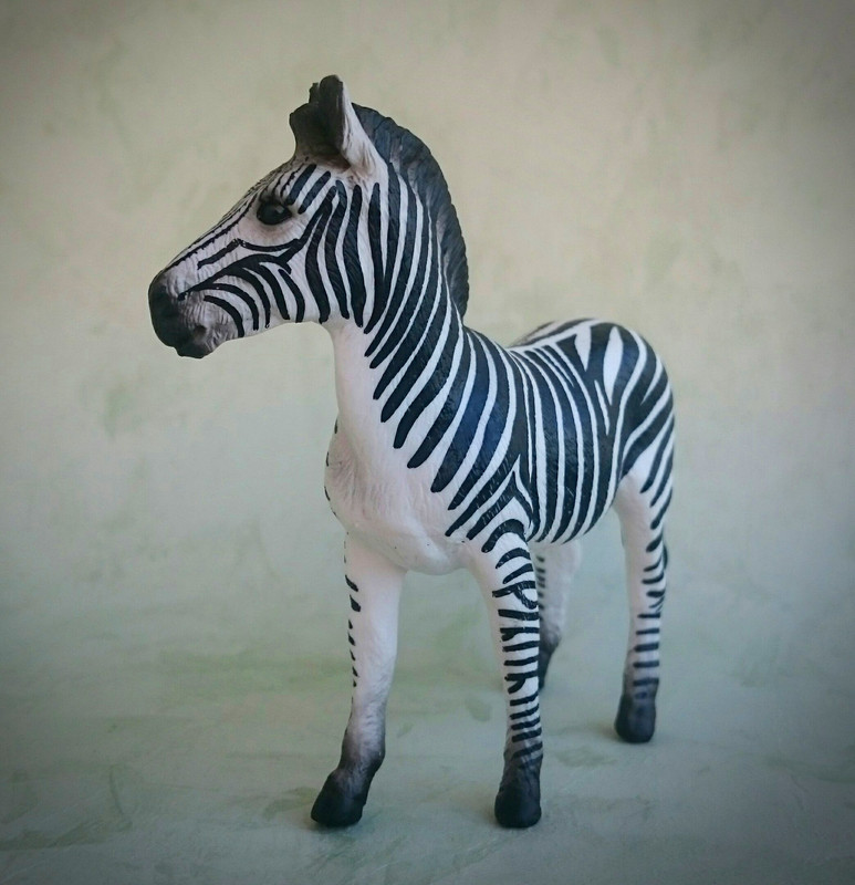 Mojo 2020 - Zebra and foal 20200627-133145