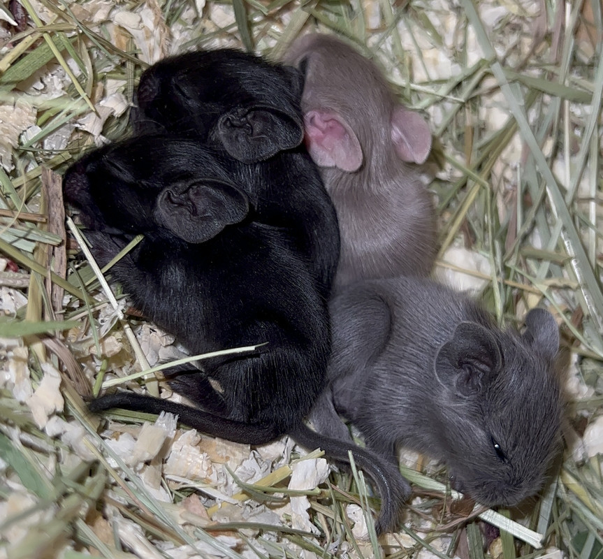 75B635B3-5CBF-4E3E-AE97-DD66E9AAFD68