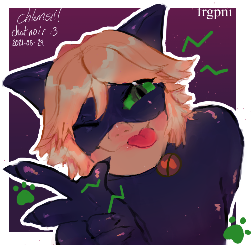 Chat noir de Miraculous.