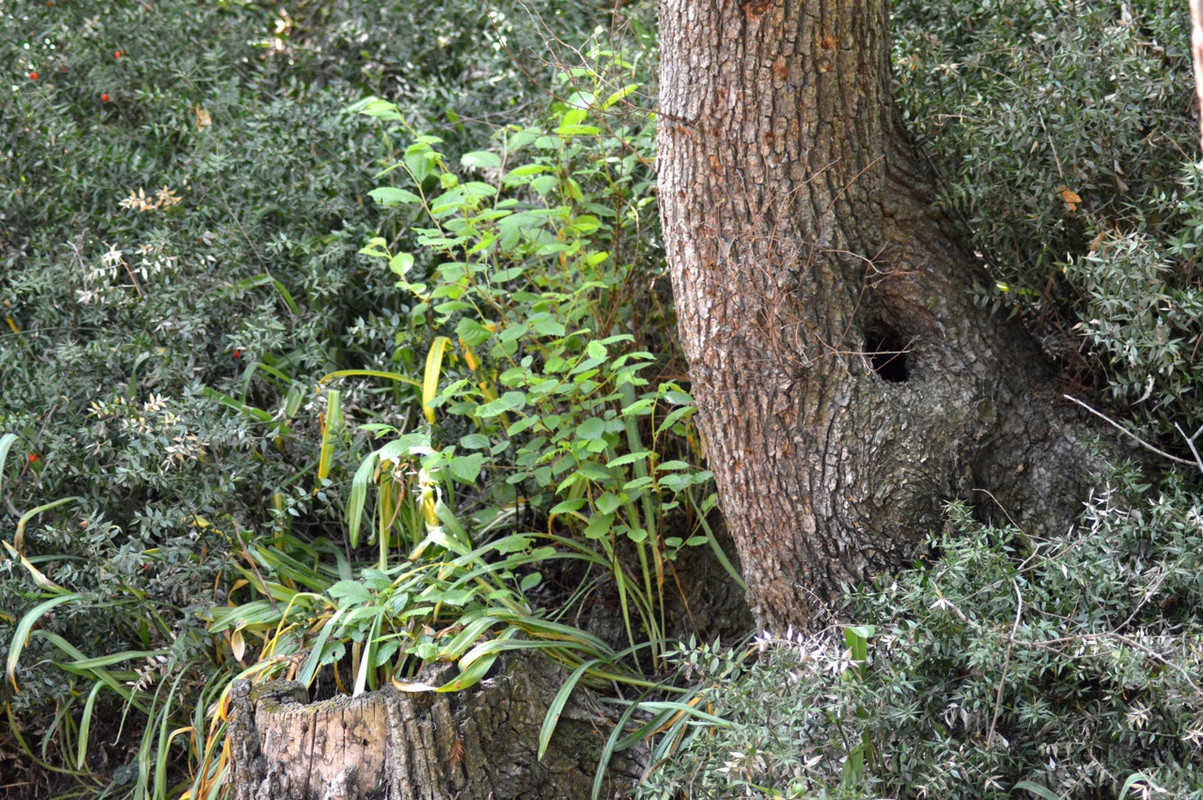 Umbxo5a-g8yTXNyzd2826DCwi3BrrobSHrMwoZBxVaVC_F9BJBpoR2wj-ahPjp-_QZre9bKZnf-DFIDpm2yXGCmK