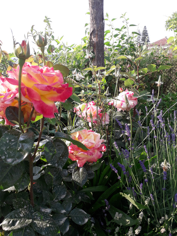 20190601_180624