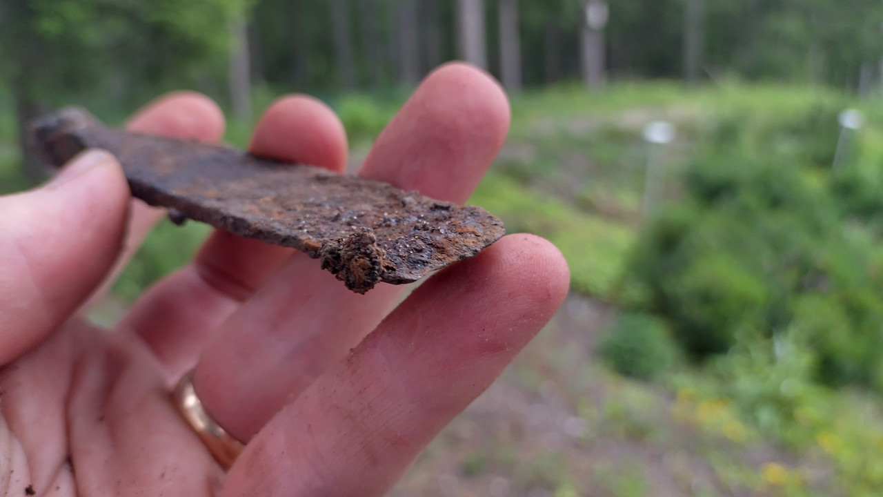 IMG_20240717_202153_HDR