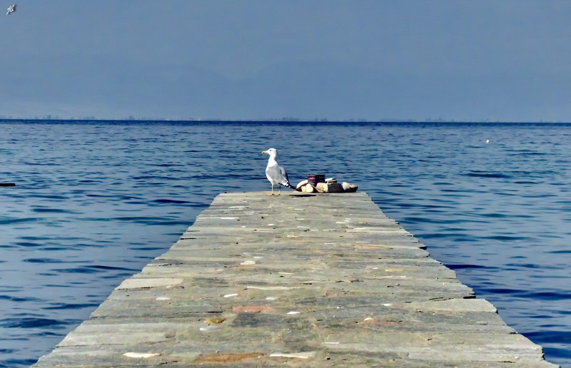 Slika