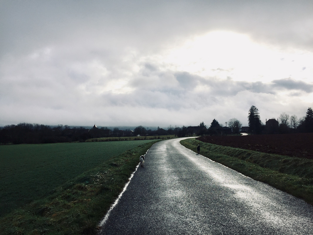 DFE50B83-C47A-444B-948F-788B94AE4521