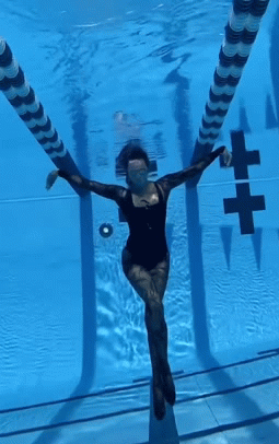 IMG-7662.gif