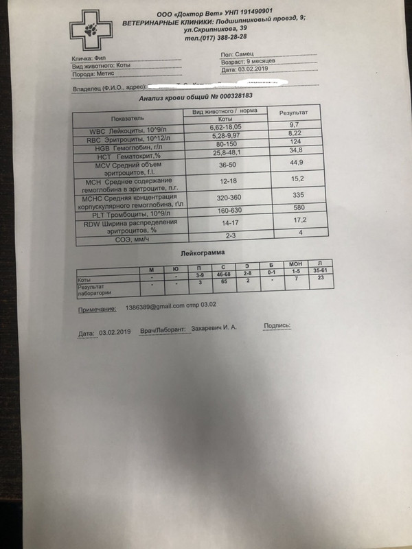 анализы оак без ФИО Татьяны