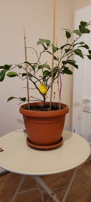 Копие на 20230211_200306