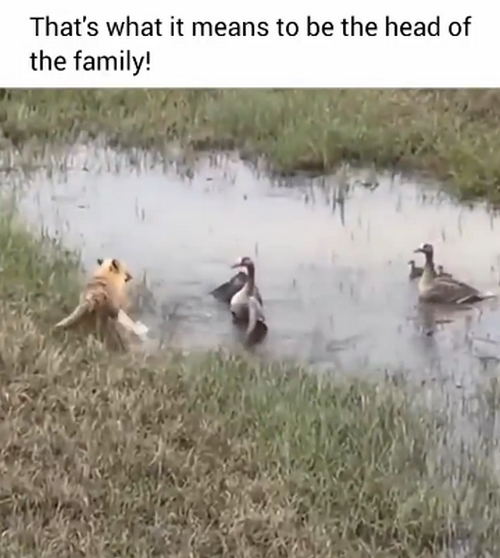 2025-01-08-140212786.png