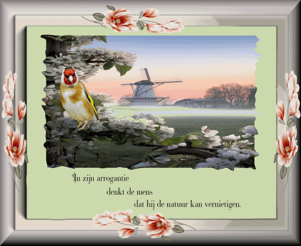 plaatje-15-juni-2021