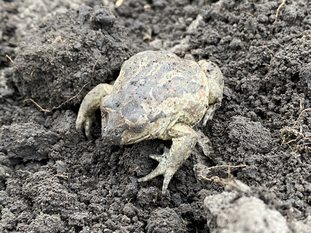 E7DD5850-842F-4CF4-9BF9-1BA988506659