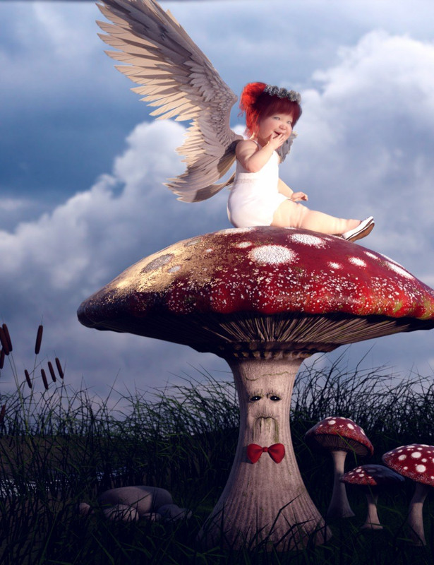 Mister Mushroom Mister Mushroom