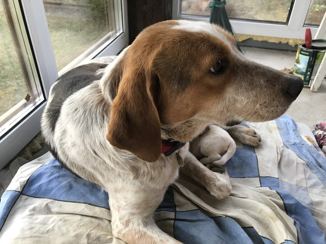 1368D3EC-F7FB-4DA3-8B9D-D91467471955