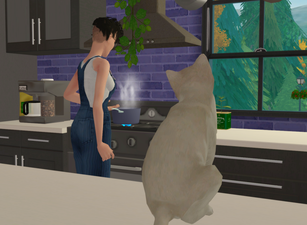 Sims2-EP9-RPC-2022-04-09-17-08-39-27