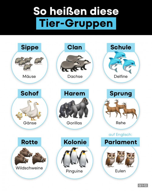 thumbs-picdump936-05.jpg