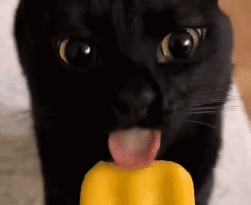 cat-lick.gif