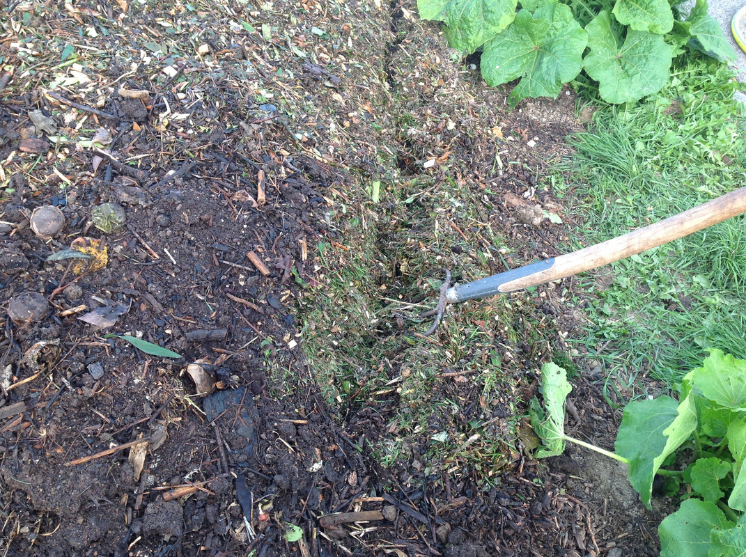 Kompostmiete Aus Drei mach Eins 3.Okt. 2015 (13)