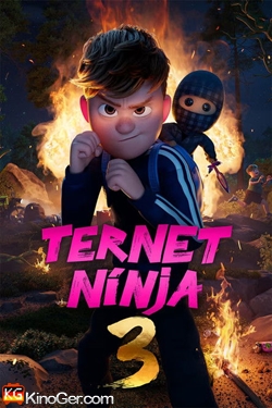 Der karierte Ninja 3 (2026)