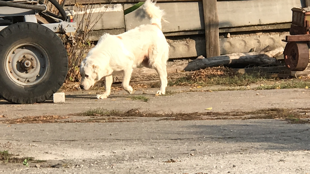 B52C88B1-9F35-4637-9A91-E34531DE1878