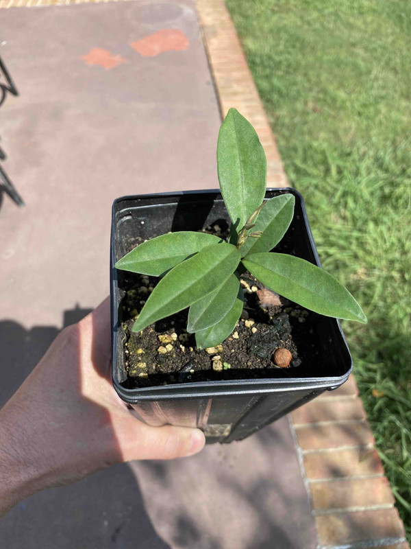 91BCA9F6-A7CF-4650-B659-AA54571CC81B