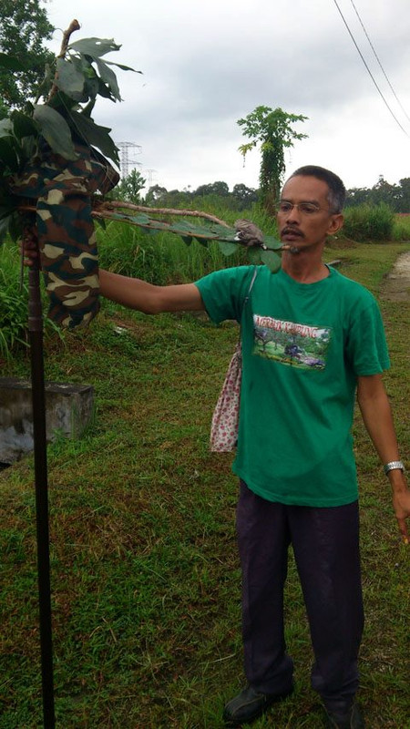 Terong, Perak -  270313 (12)