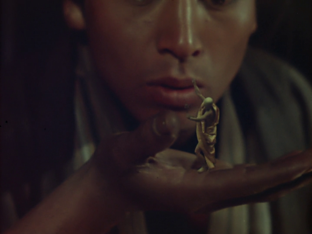 vlcsnap-2025-06-08-02h27m03s879