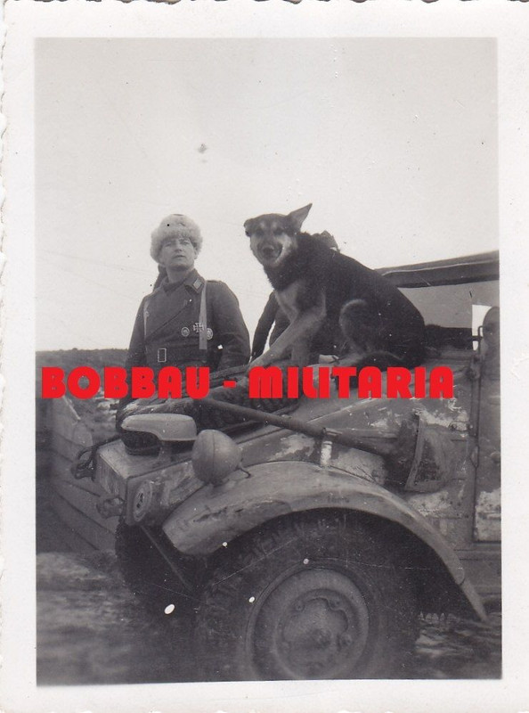 Russland 1944 sPzJgAb.519 Zugführer Leutnant Alb