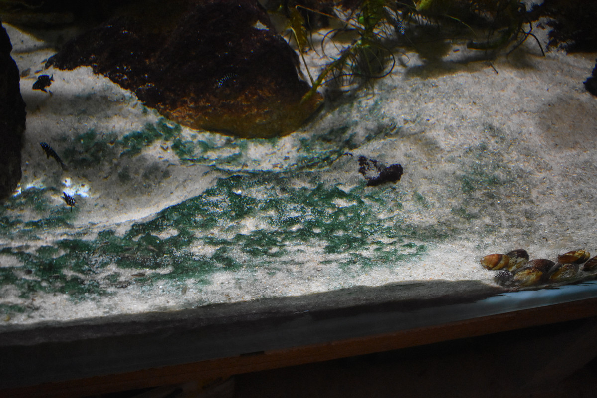 DSC_0004 - Copie (3)