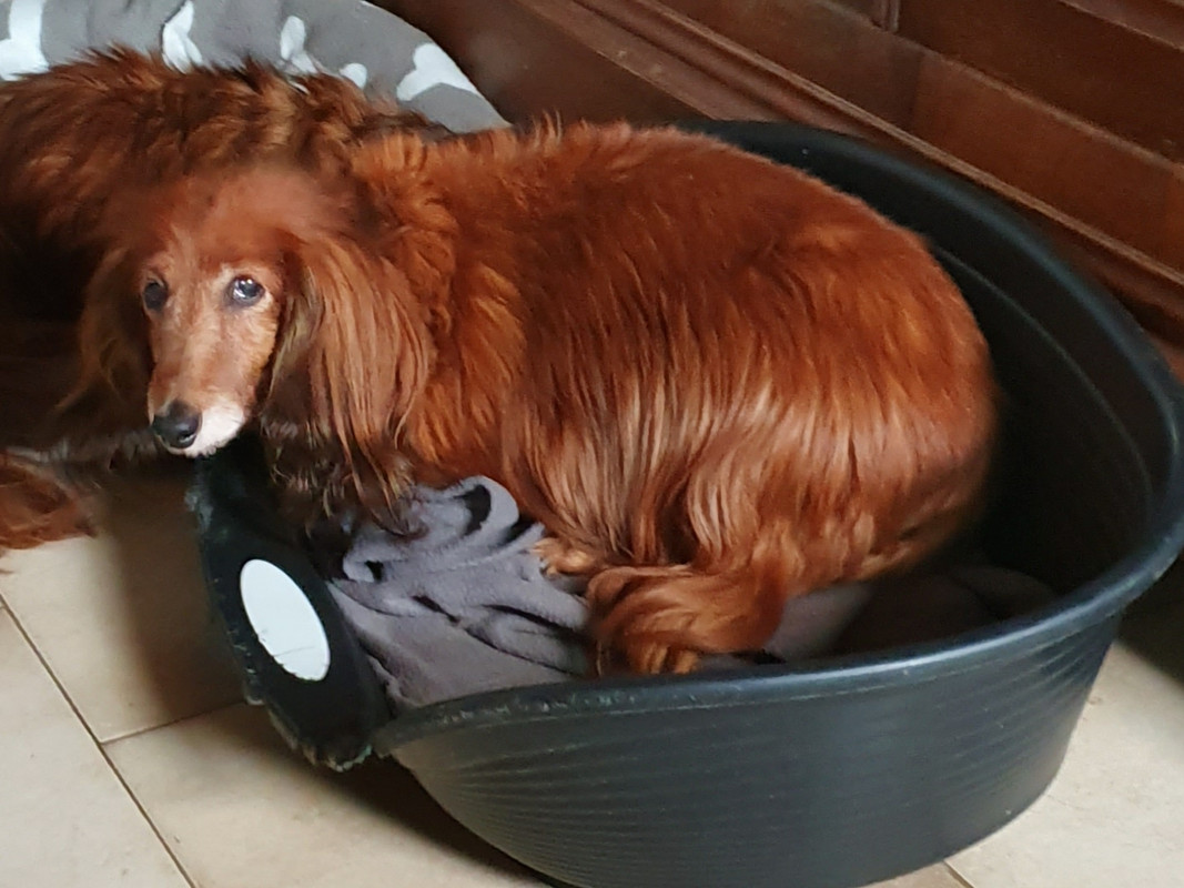 [Image: 20201205-140206.jpg]