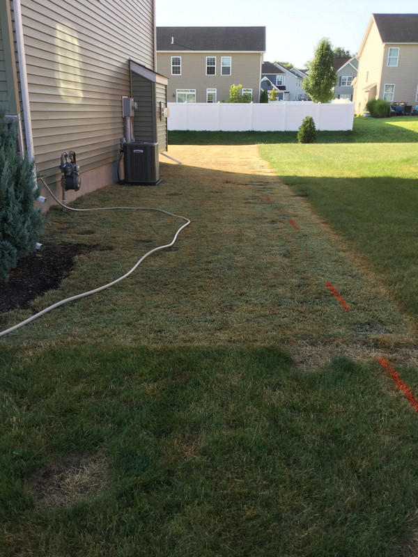 530B2587-70BD-4C12-8980-25F551C8FF02