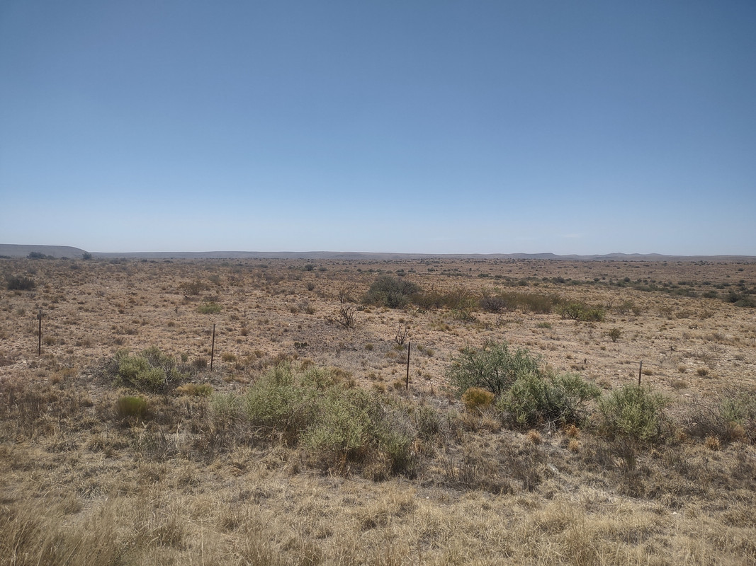 IMG_20250607_114626529_HDR