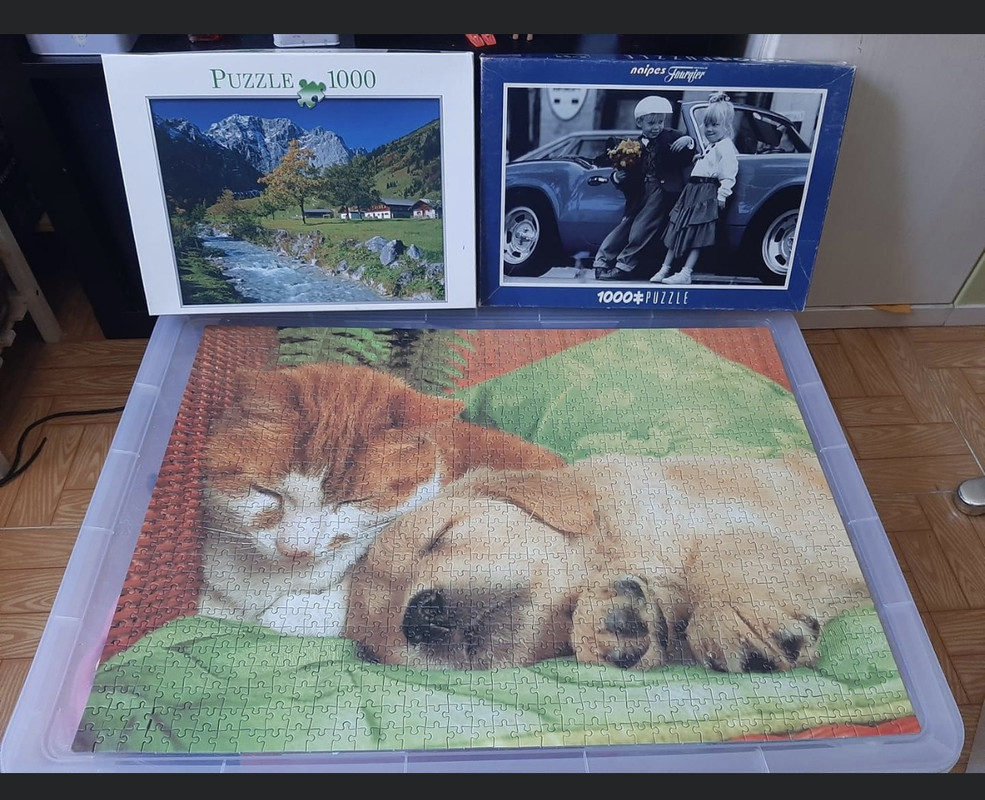 AB38771E-0DDD-44EB-8272-02E5105868AA