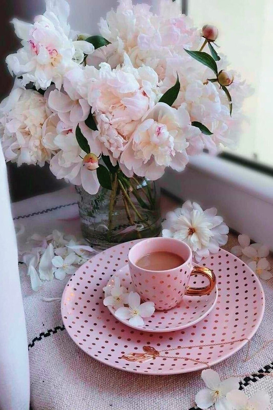 357448680_591091913226078_2147656897166426694_n