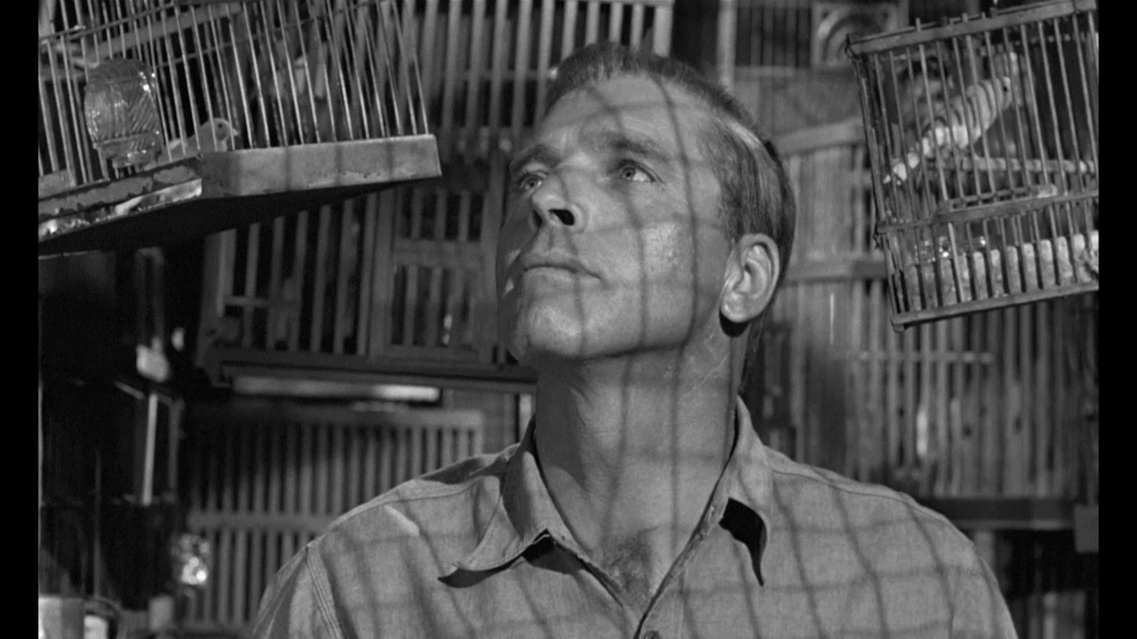 vlcsnap-2023-10-22-15h04m50s340