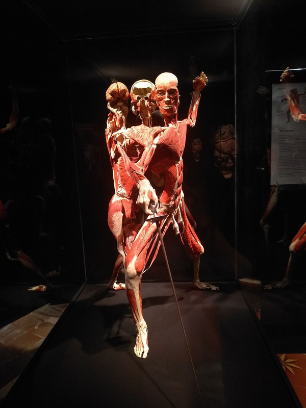 72428664_457537614853991_6384053343123144704_n