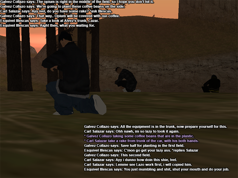 SS12.png