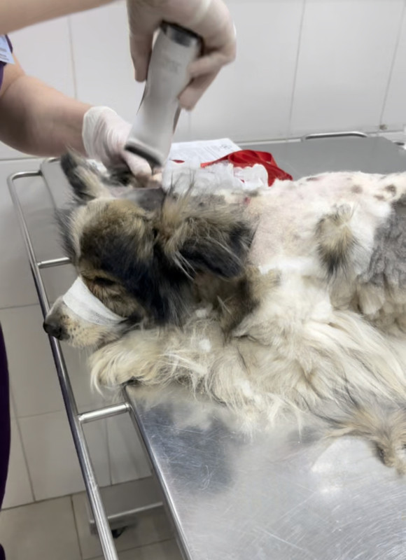 0CEE3FB3-491C-4056-BFA8-691E7F94744E