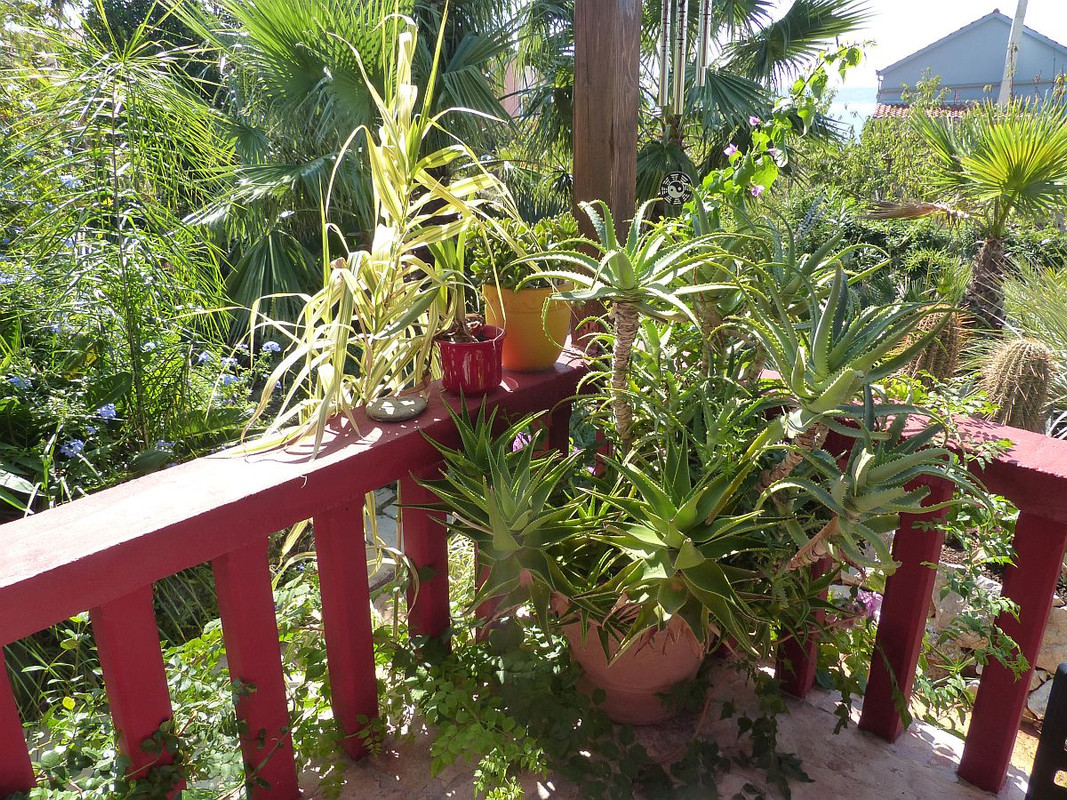 P1240291