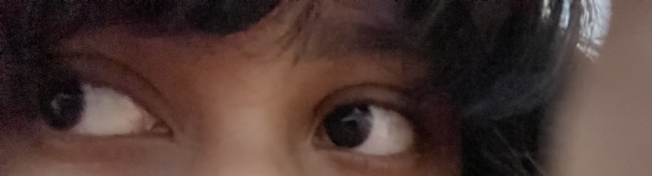 IMG 0258