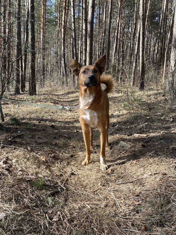 изображение_viber_2022-04-05_13-50-17-211