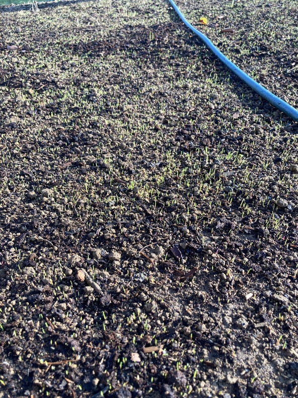 50599DD9-AAD1-4C08-B3BD-E80FD5D5864D