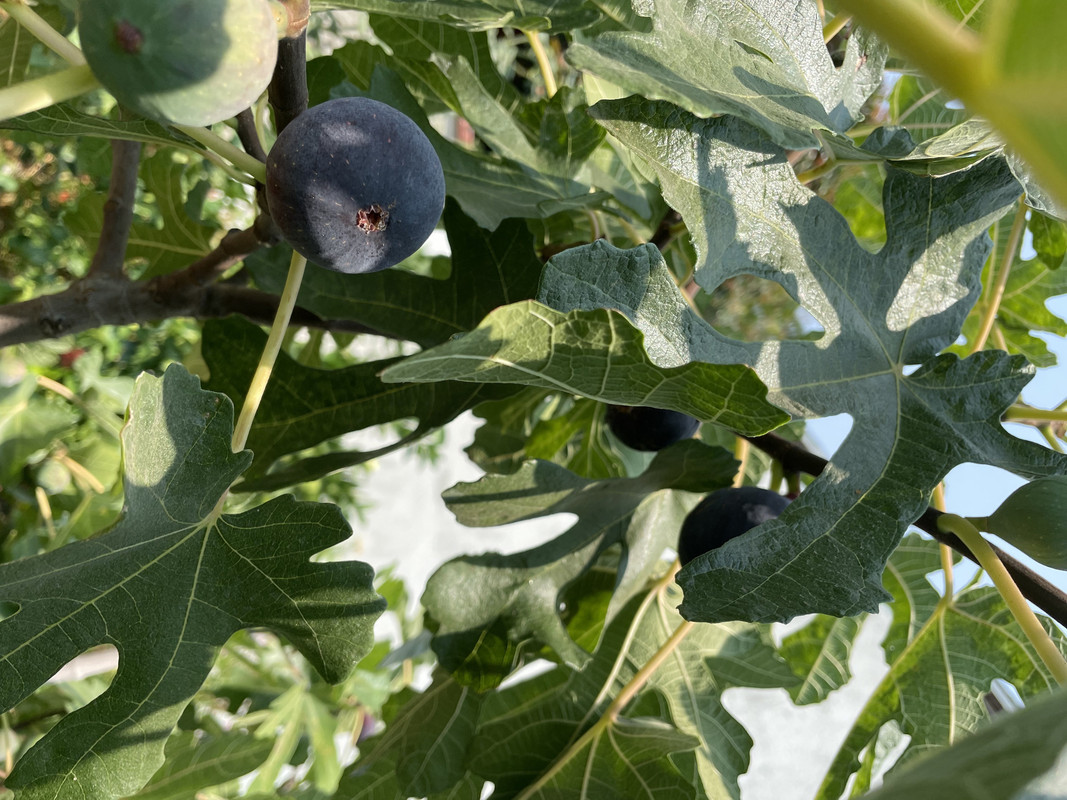 C96FED71-C272-4EB5-82AC-4E988A2646F9