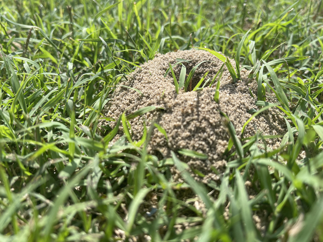 503714AC-1A3D-4CBF-863F-81DE33C7A37F