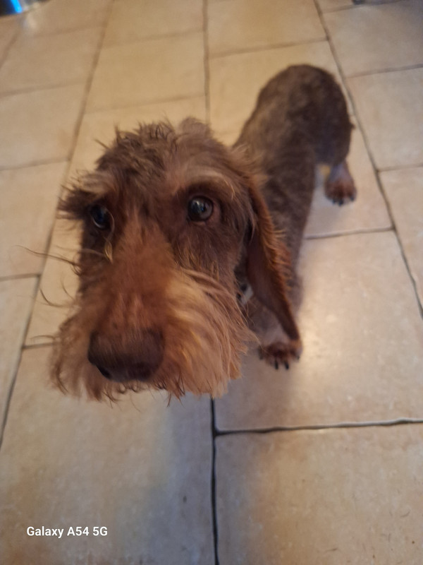 [Image: 20241022-091905-0.jpg]