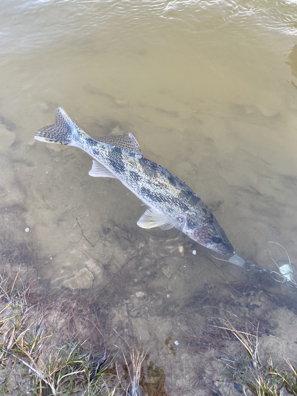 52EAC846-26C5-4E56-83F2-74ACFAFA3AAC