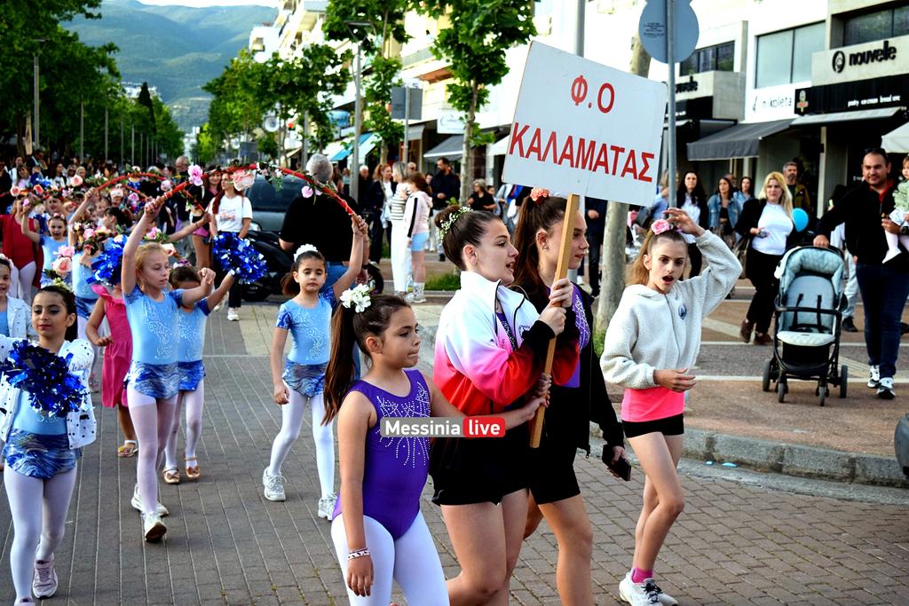 anthestiria-DSC-1223