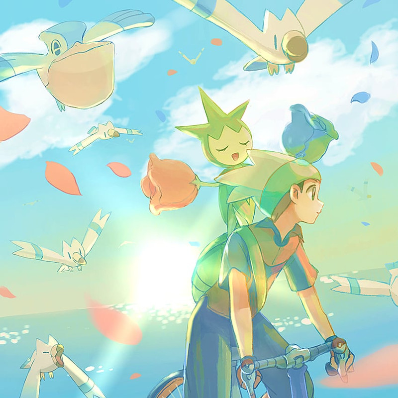 brendan-wingull-roselia-and-pelipper-pok