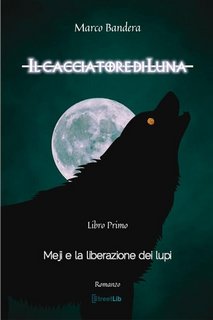 Marco Bandera - Meji e la liberazione dei lupi Vol. 1. Il cacciatore di luna (2023)