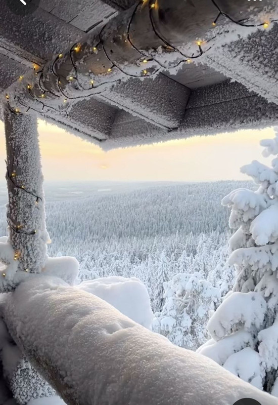 Screenshot_20240113_120856_Pinterest