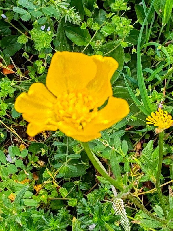 IMG 20260413 190425B