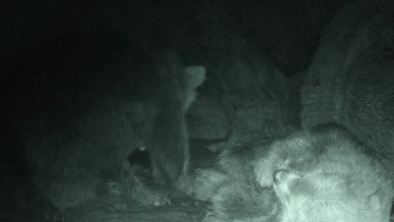 vlcsnap 2025 11 26 03h03m47s645